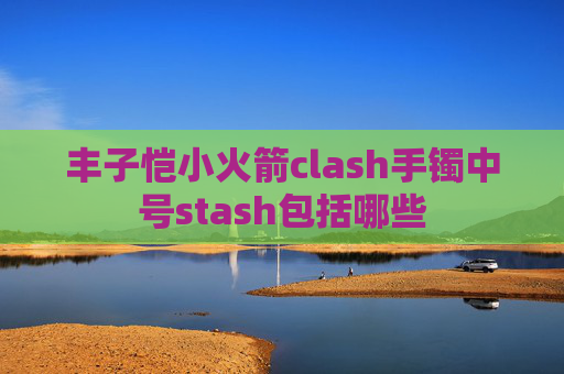 丰子恺小火箭clash手镯中号stash包括哪些