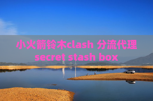 小火箭铃木clash 分流代理secret stash box