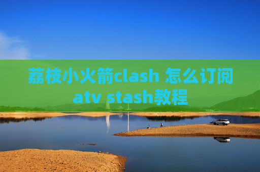 荔枝小火箭clash 怎么订阅atv stash教程