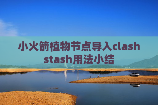 小火箭植物节点导入clashstash用法小结