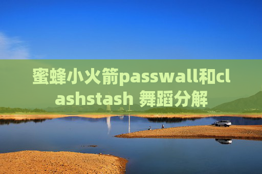 蜜蜂小火箭passwall和clashstash 舞蹈分解