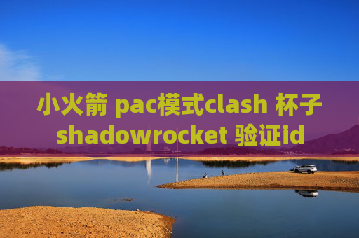 小火箭 pac模式clash 杯子shadowrocket 验证id