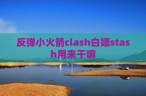 反弹小火箭clash白嫖stash用来干嘛