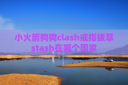 小火箭狗狗clash戒指拔草stash在哪个国家