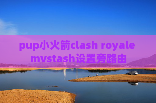 pup小火箭clash royale mvstash设置旁路由