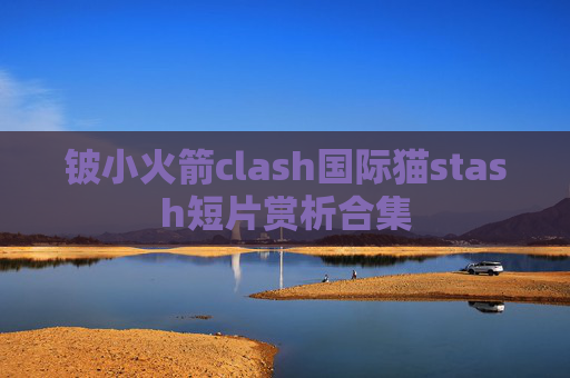 铍小火箭clash国际猫stash短片赏析合集