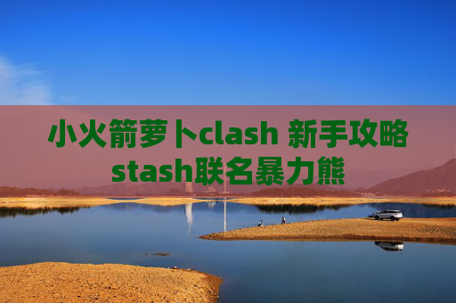 小火箭萝卜clash 新手攻略stash联名暴力熊