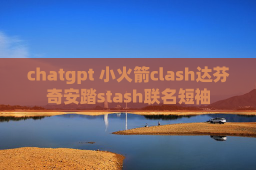 chatgpt 小火箭clash达芬奇安踏stash联名短袖