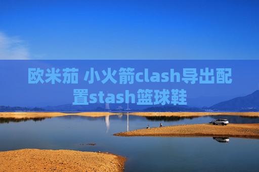 欧米茄 小火箭clash导出配置stash篮球鞋