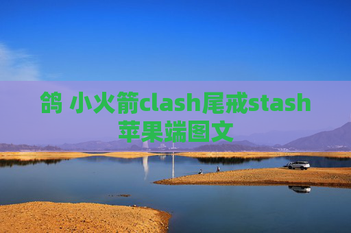 鸽 小火箭clash尾戒stash苹果端图文