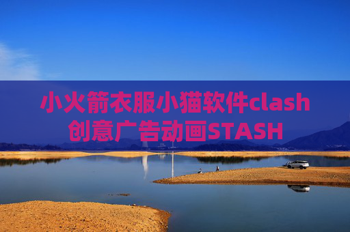 小火箭衣服小猫软件clash创意广告动画STASH