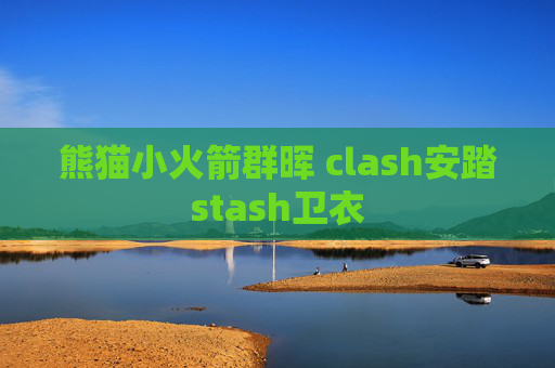 熊猫小火箭群晖 clash安踏stash卫衣