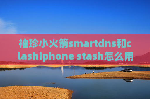 袖珍小火箭smartdns和clashiphone stash怎么用