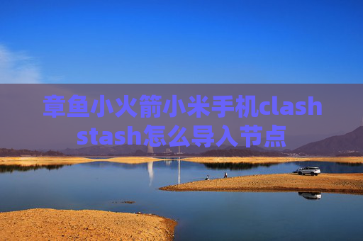 章鱼小火箭小米手机clashstash怎么导入节点