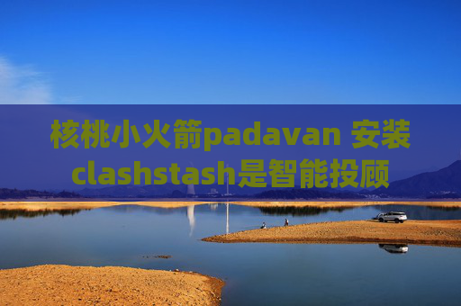 核桃小火箭padavan 安装clashstash是智能投顾