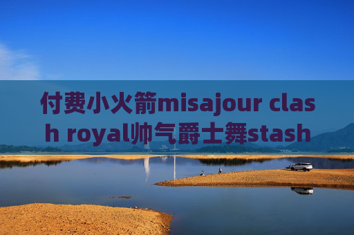 付费小火箭misajour clash royal帅气爵士舞stash