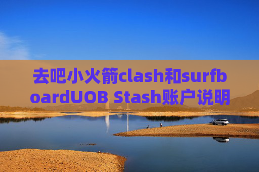 去吧小火箭clash和surfboardUOB Stash账户说明