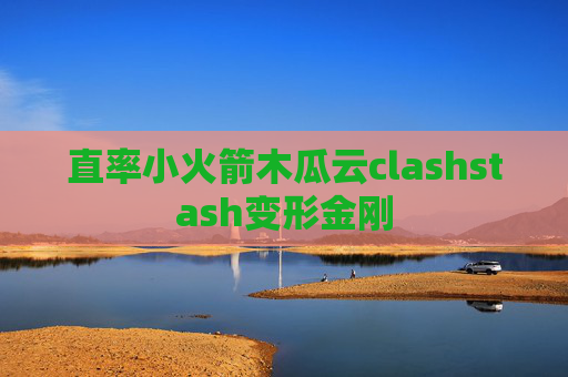 直率小火箭木瓜云clashstash变形金刚