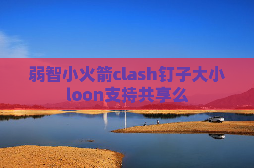 弱智小火箭clash钉子大小loon支持共享么