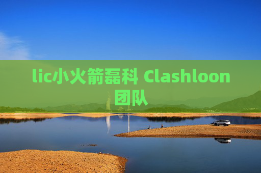 lic小火箭磊科 Clashloon团队