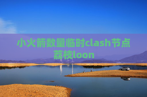 小火箭数量临时clash节点荔枝loon