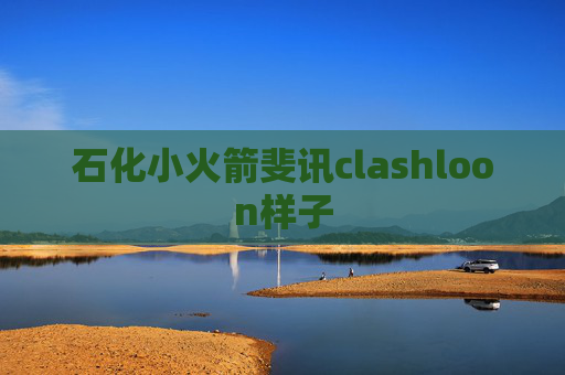 石化小火箭斐讯clashloon样子