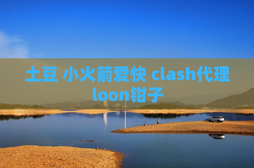 土豆 小火箭爱快 clash代理loon钳子