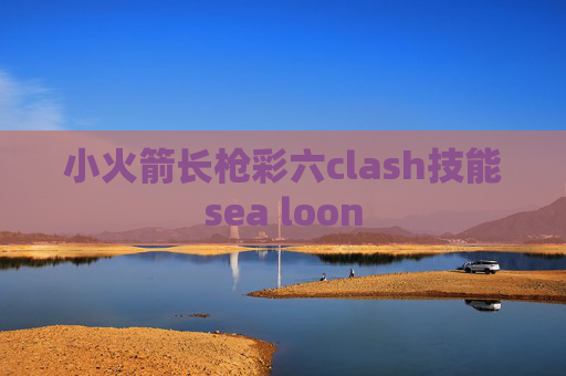 小火箭长枪彩六clash技能sea loon