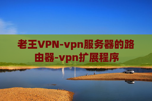 老王VPN-vpn服务器的路由器-vpn扩展程序