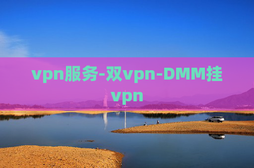 vpn服务-双vpn-DMM挂vpn