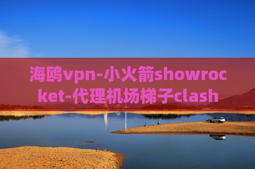 海鸥vpn-小火箭showrocket-代理机场梯子clash