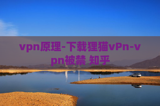 vpn原理-下载狸猫vPn-vpn被禁 知乎