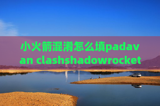 小火箭混淆怎么填padavan clashshadowrocket 中国区