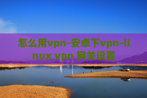 怎么用vpn-安卓下vpn-linux vpn 网关设置