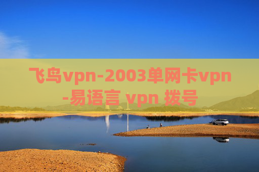 飞鸟vpn-2003单网卡vpn-易语言 vpn 拨号