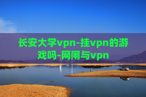 长安大学vpn-挂vpn的游戏吗-网闸与vpn