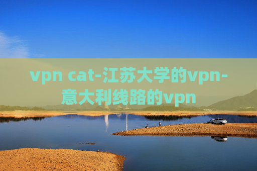 vpn cat-江苏大学的vpn-意大利线路的vpn