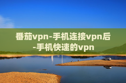 番茄vpn-手机连接vpn后-手机快速的vpn