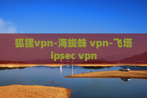 狐狸vpn-海蜘蛛 vpn-飞塔ipsec vpn