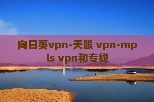 向日葵vpn-天眼 vpn-mpls vpn和专线