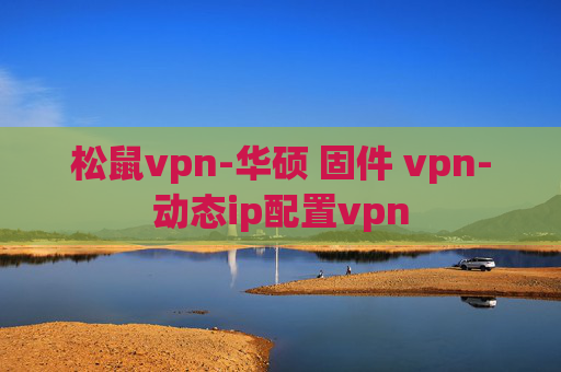 松鼠vpn-华硕 固件 vpn-动态ip配置vpn