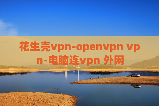 花生壳vpn-openvpn vpn-电脑连vpn 外网