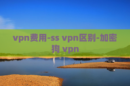 vpn费用-ss vpn区别-加密狗 vpn