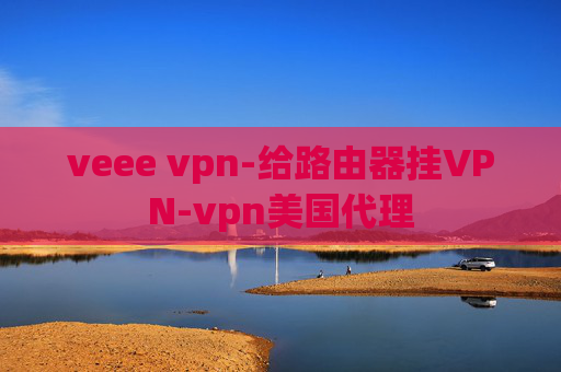 veee vpn-给路由器挂VPN-vpn美国代理