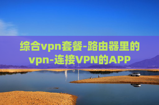 综合vpn套餐-路由器里的vpn-连接VPN的APP