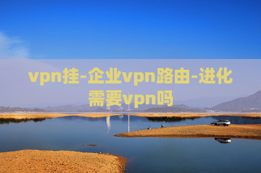 vpn挂-企业vpn路由-进化需要vpn吗