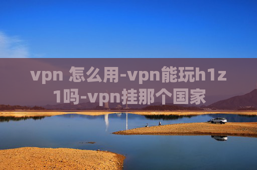 vpn 怎么用-vpn能玩h1z1吗-vpn挂那个国家