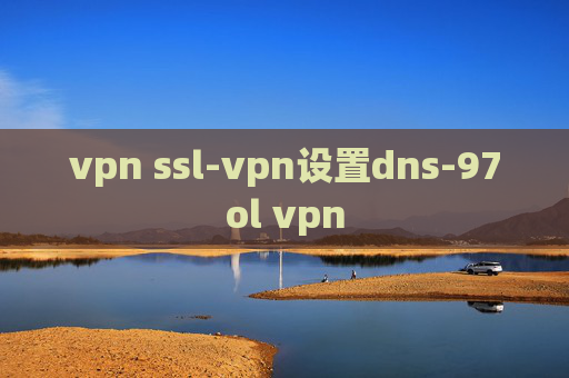 vpn ssl-vpn设置dns-97ol vpn