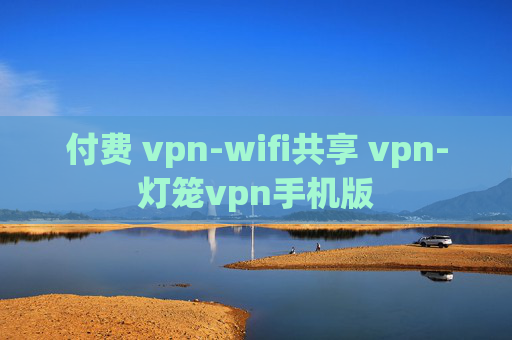 付费 vpn-wifi共享 vpn-灯笼vpn手机版