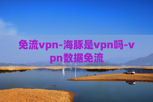 免流vpn-海豚是vpn吗-vpn数据免流